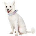 Formation à la sécurité Collier de chien Martingale pas de boucle